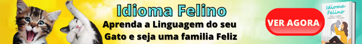 Idioma Felino